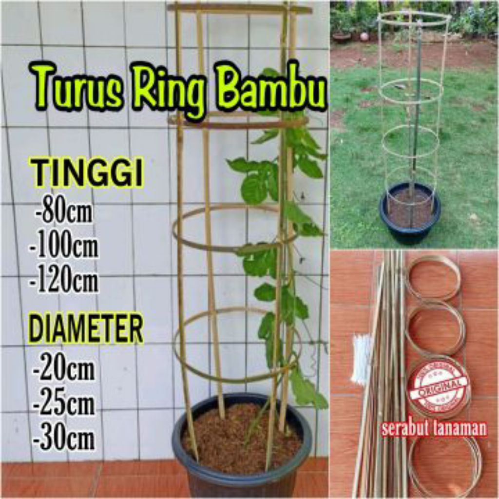 paket 1set ajir tanaman melingkar, penyangga tanaman, untuk tomat,cabai, dll