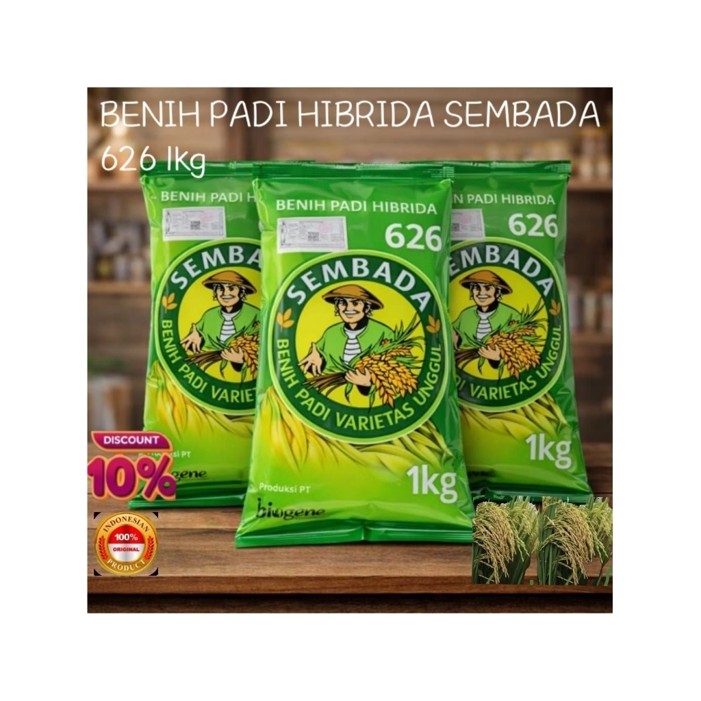 BENIH PADI HIBRIDA SEMBADA 626 1kg ORIGINAL