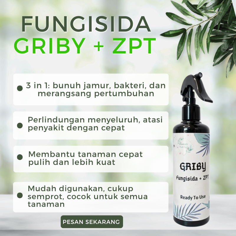GRIBY - Fungisida & Bakterisida dengan ZPT – Obat Anti Jamur & Bakteri 3 in 1 Aman untuk Semua Tanam