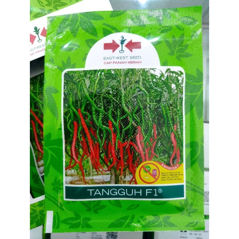 Benih Cabe Keriting TANGGUH F1 - Tahan Penyakit, Kualitas Tinggi, 2000 Butir