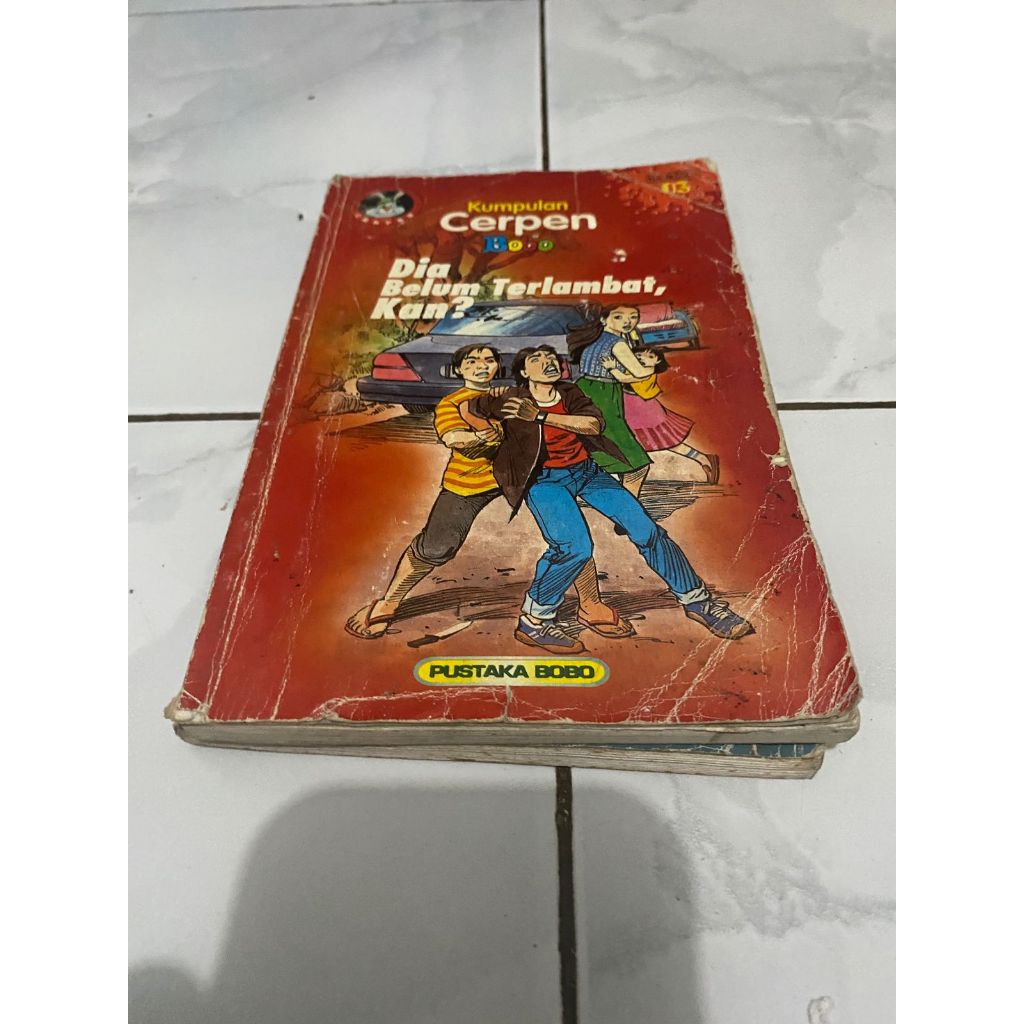 Pustaka Bobo - Kumpulan Cerpen - Dia belum terlambat kan