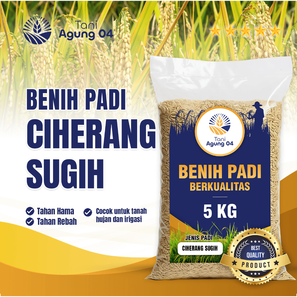 Benih Padi Bibit Padi CIHERANG SUGIH Kualitas Original Kemasan 5 Kilo