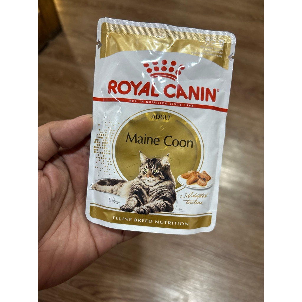 makanan kucing Royal Canin Maincoon wet food 85gr