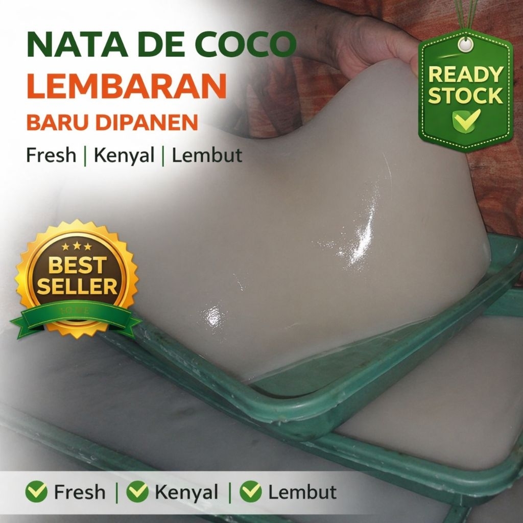 NATA DE COCO LEMBARAN MENTAH FRESH | BARU PANEN (MASIH ADA KULIT ARI) | BISA POTONG SENDIRI