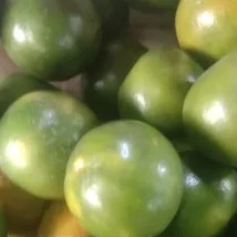Jeruk peras besar 500g