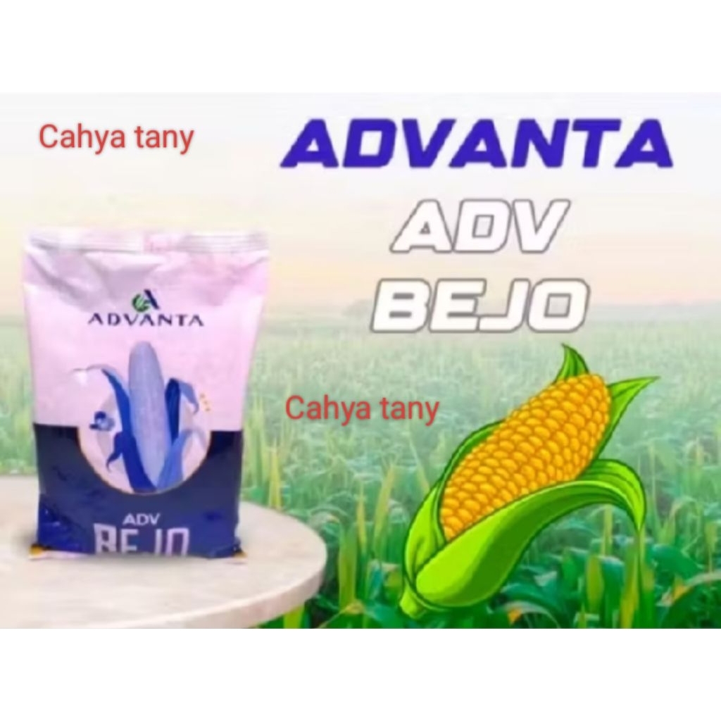 BENIH JAGUNG SUPER ADV BEJO advanta kemasan 5kg