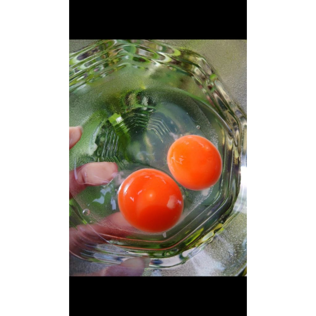 Telur bebek asin mentah omega