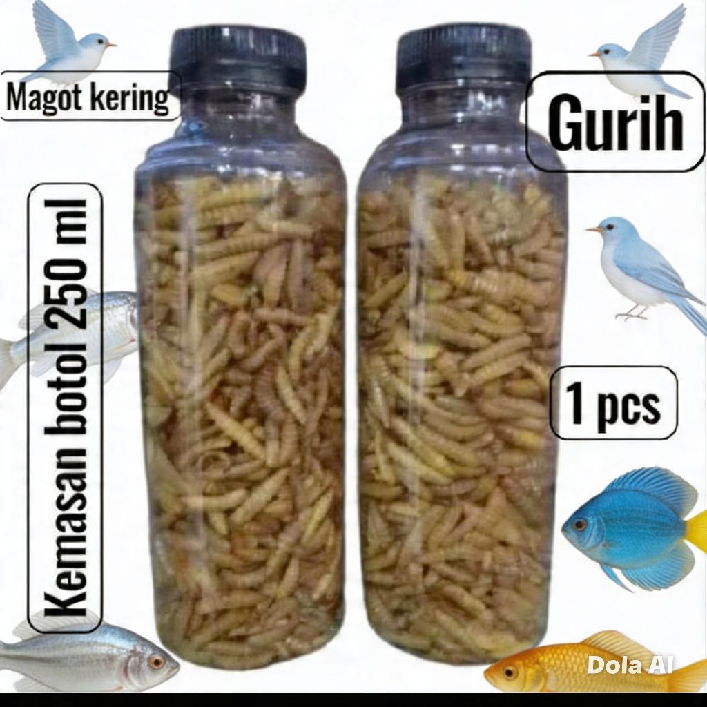 Magot kering BSF/maggot kering/magot kering kemasan botol 250 ml/Magot kering