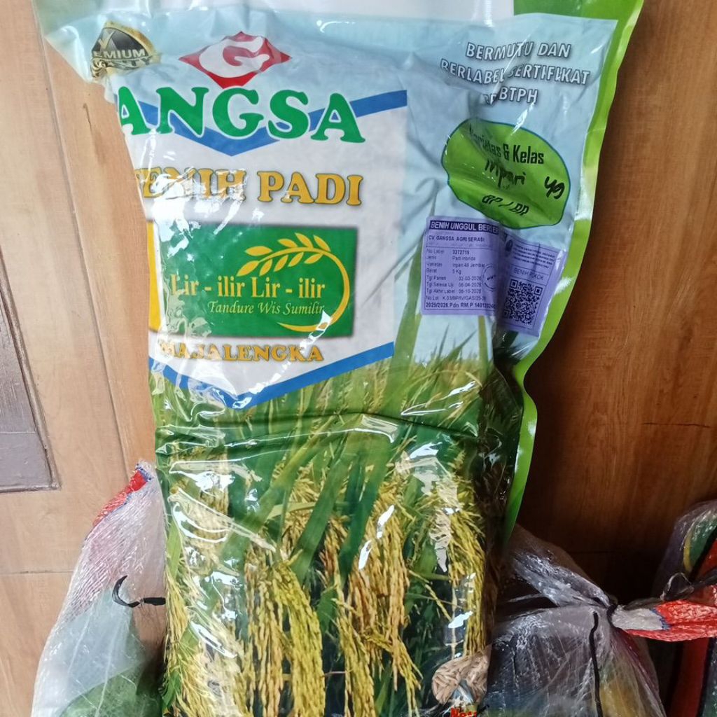 Benih padi Inpari 49 jembar