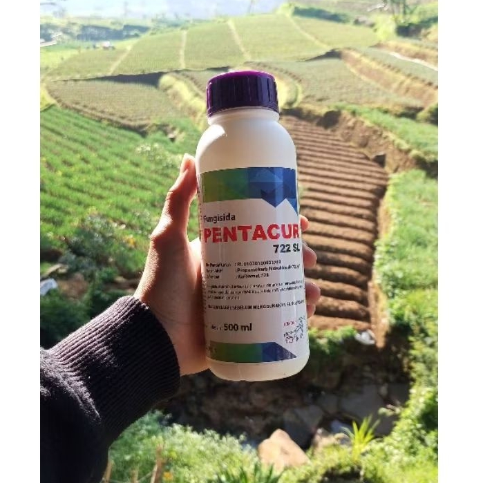 PENTACUR 722SL 500ML (FUNGISIDA)