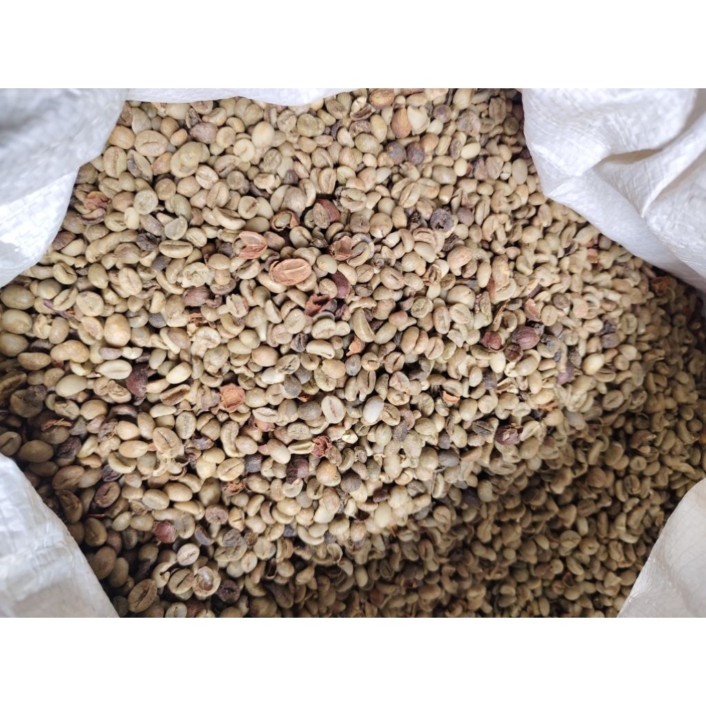 Green Bean robusta/ biji kopi mentah asal Semendo (Grade Asalan)