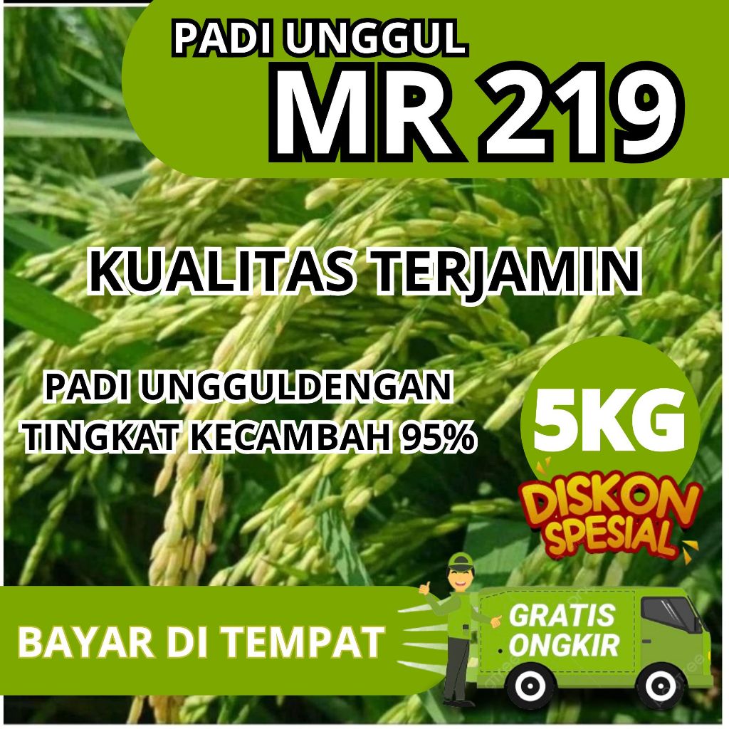 Benih Padi Unggul MR219 Bibit Padi MR 219 5kg