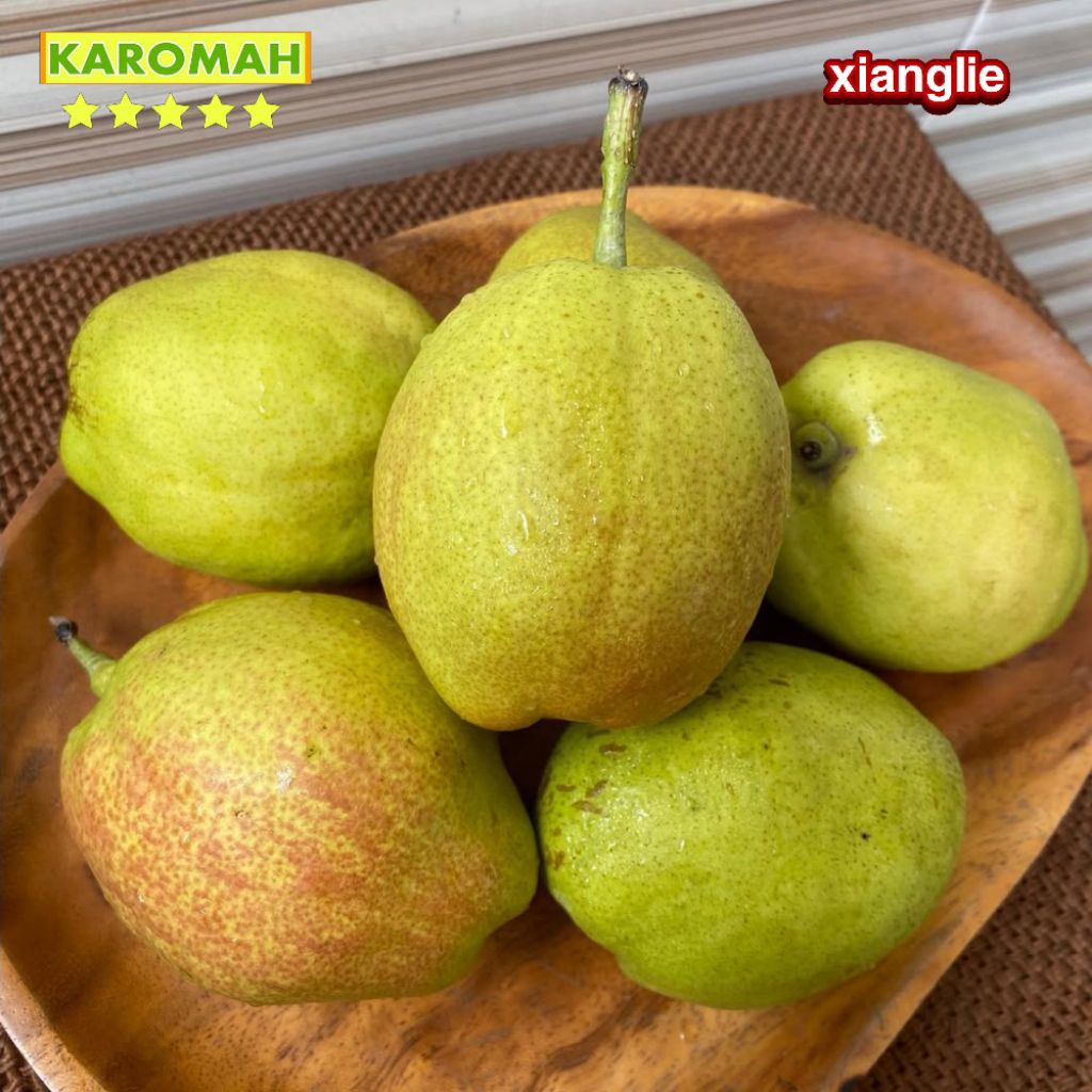 buah pir Xianglie import 1 KG manis berair/pear xiang lie /Xiang Lie/pir Xiang