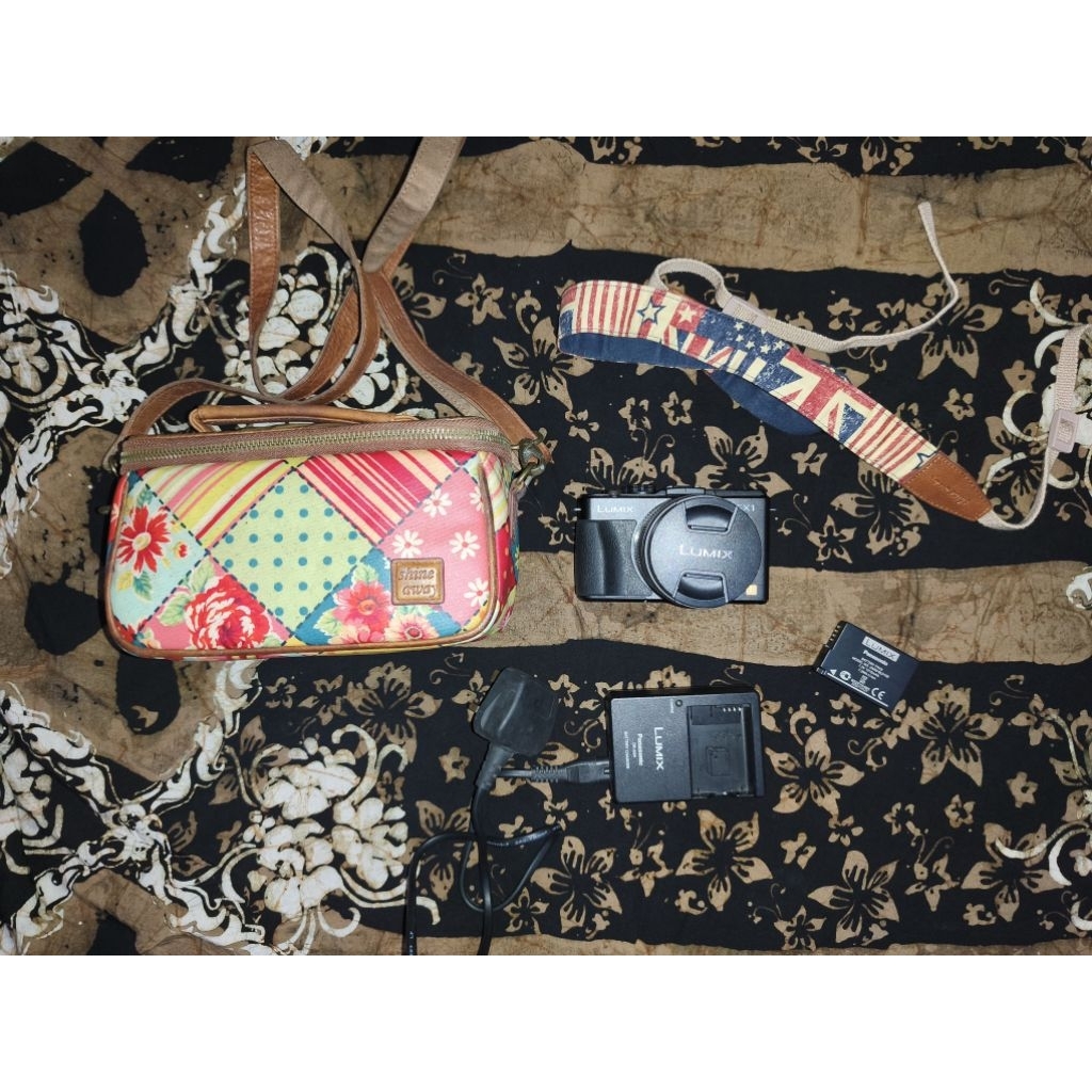 mirrorless lumix GX1