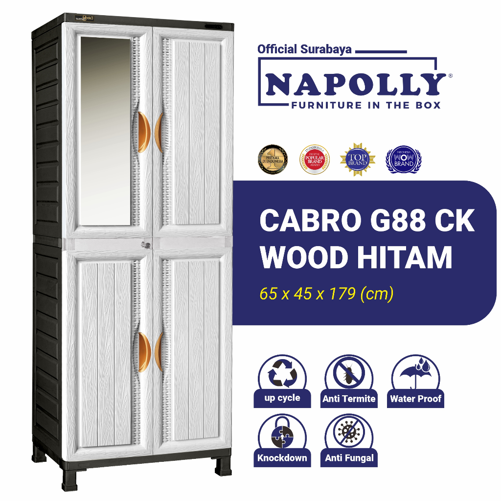 Napolly (Official Surabaya) - Lemari Pakaian 2 Pintu Motif Kayu Dengan Gantungan dan Rak - CABRO G88