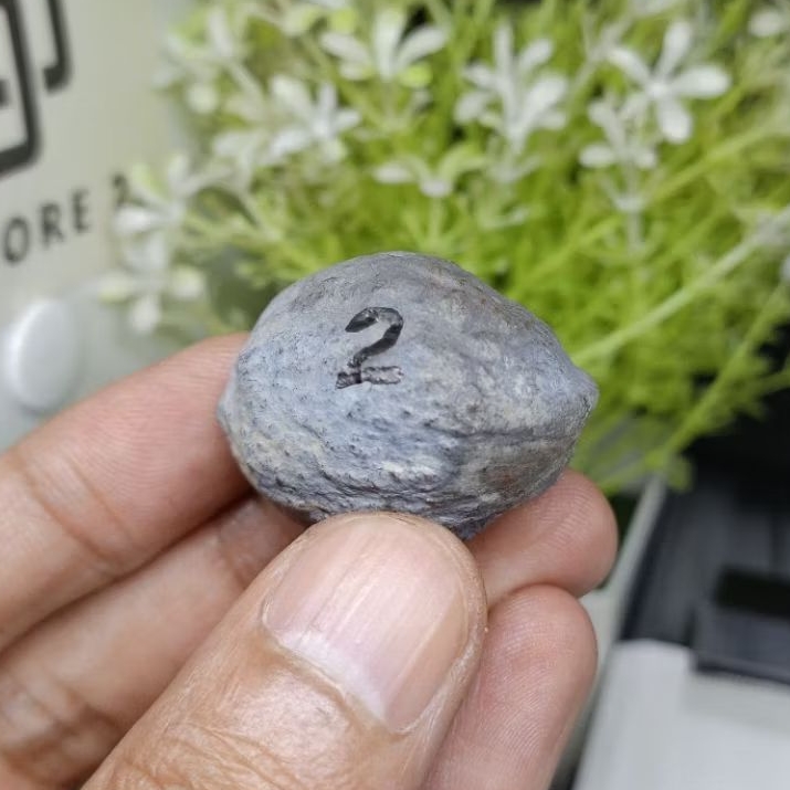 Muncang Adu Yanti Denpom JR kode 2