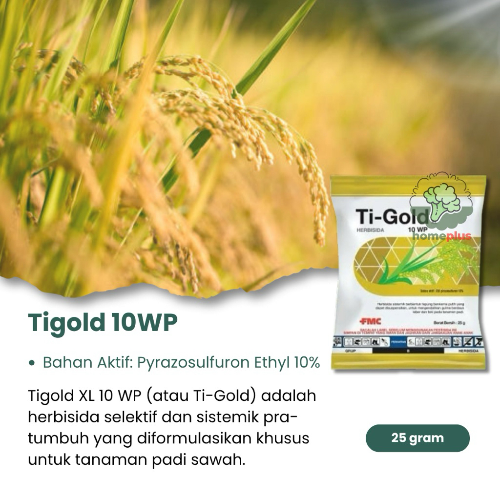 Ti-gold Herbisida Sistemik Pra-Tumbuh Selektif Padi