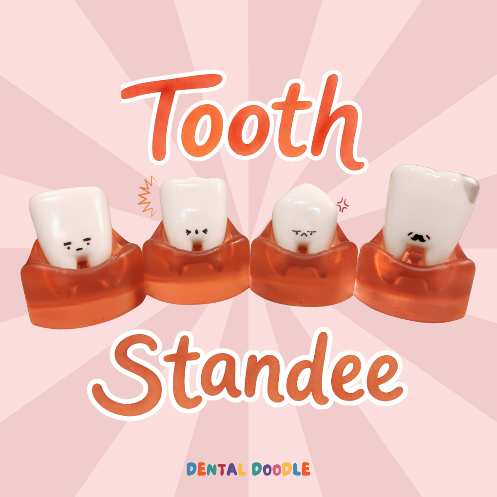 Tooth Standee Pajangan Gigi Lucu untuk Dokter Gigi Mahasiswa Kedokteran Klinik