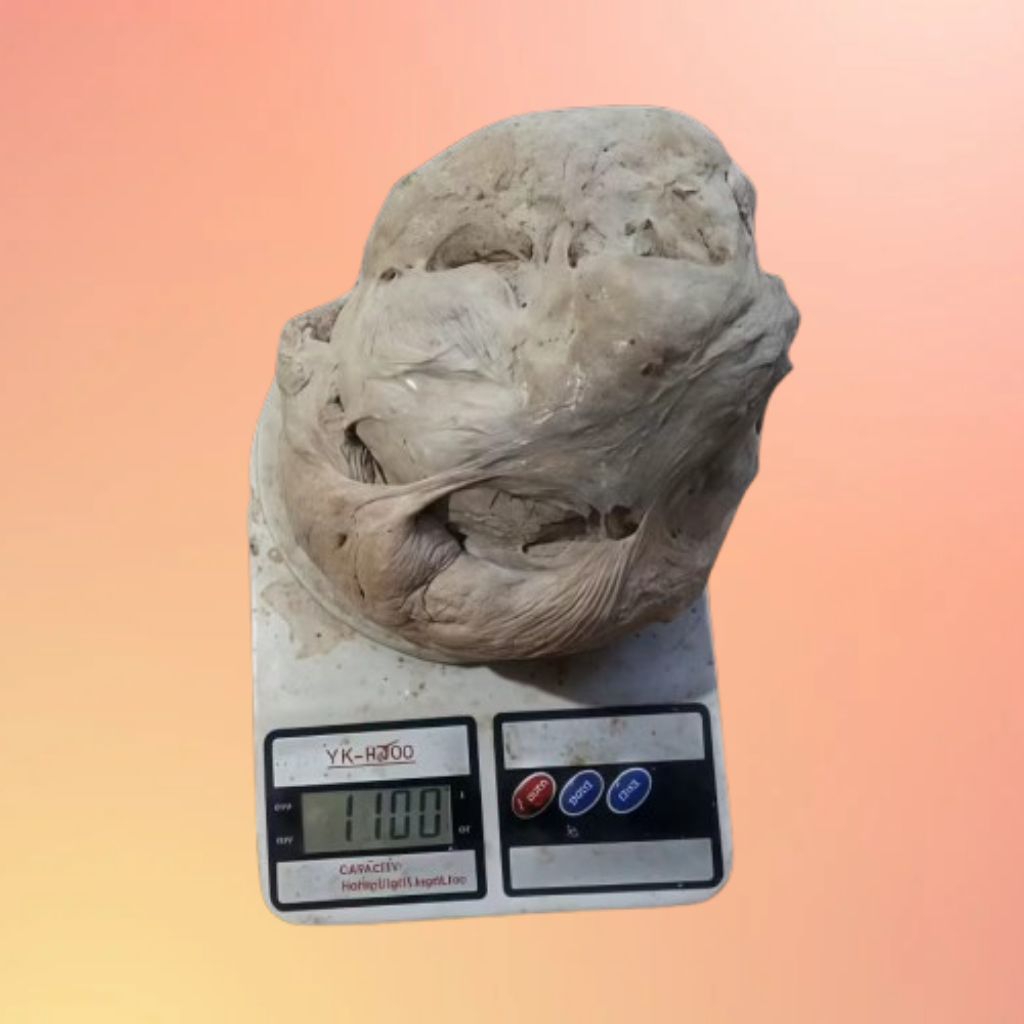 Pulut Burung Super Lengket Anti Leleh Anti Zonk 1kg