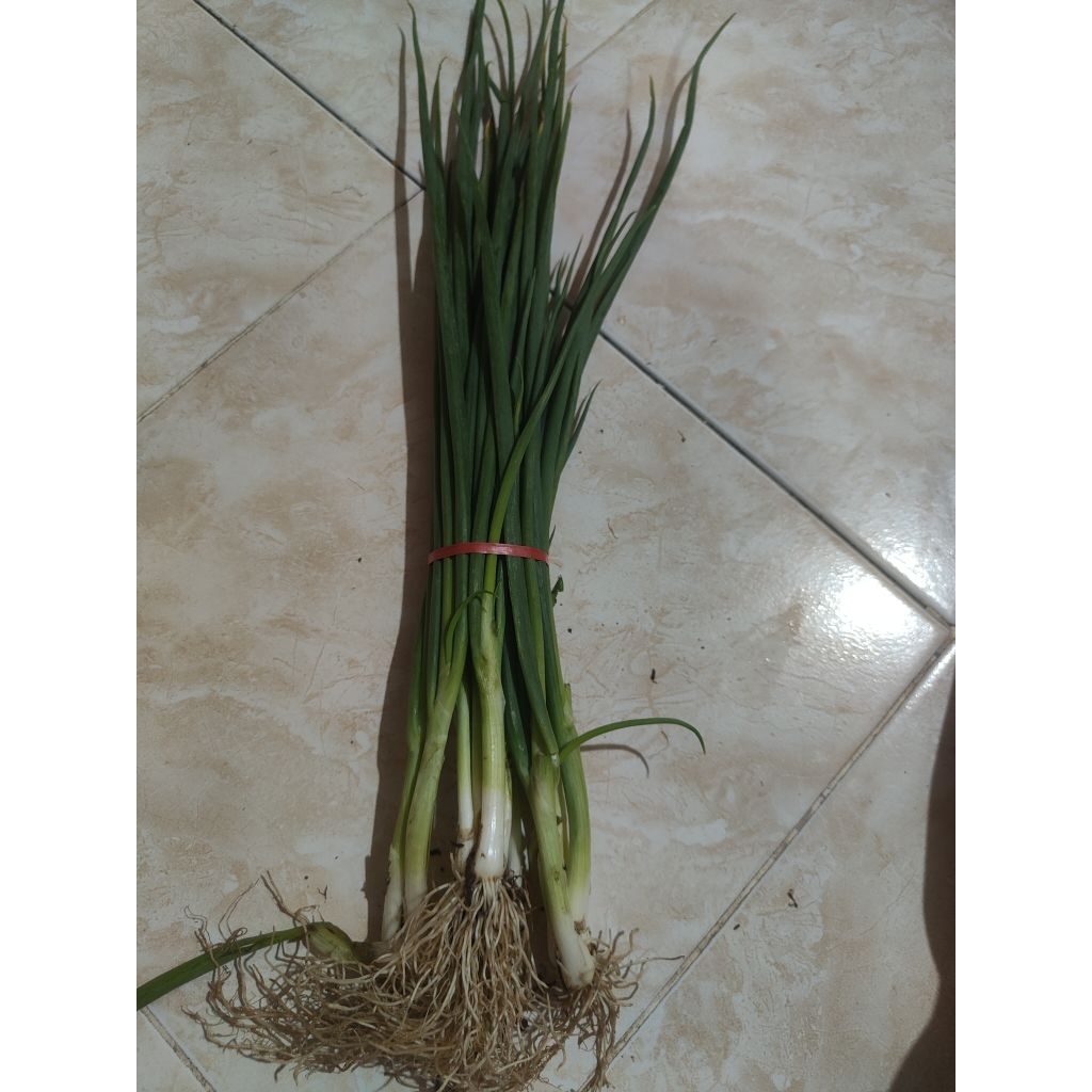 Daun bawang prai.