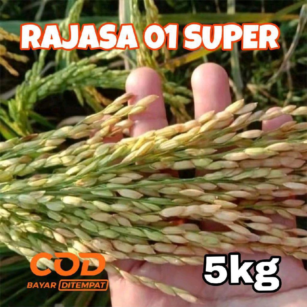 RAJASA01SUPER