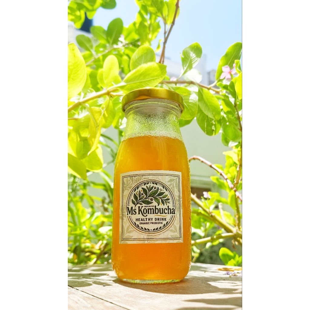 Ms Kombucha Premium Kombucha