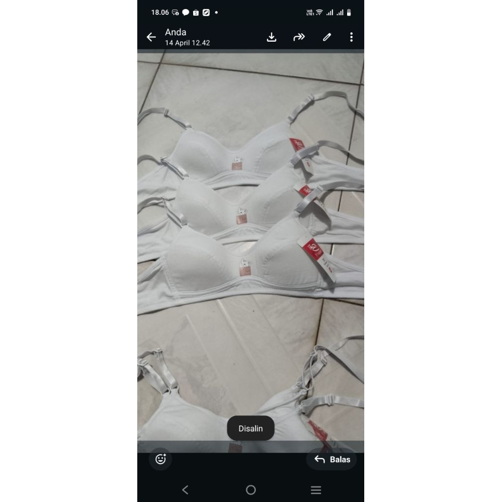 bra pelajar elena