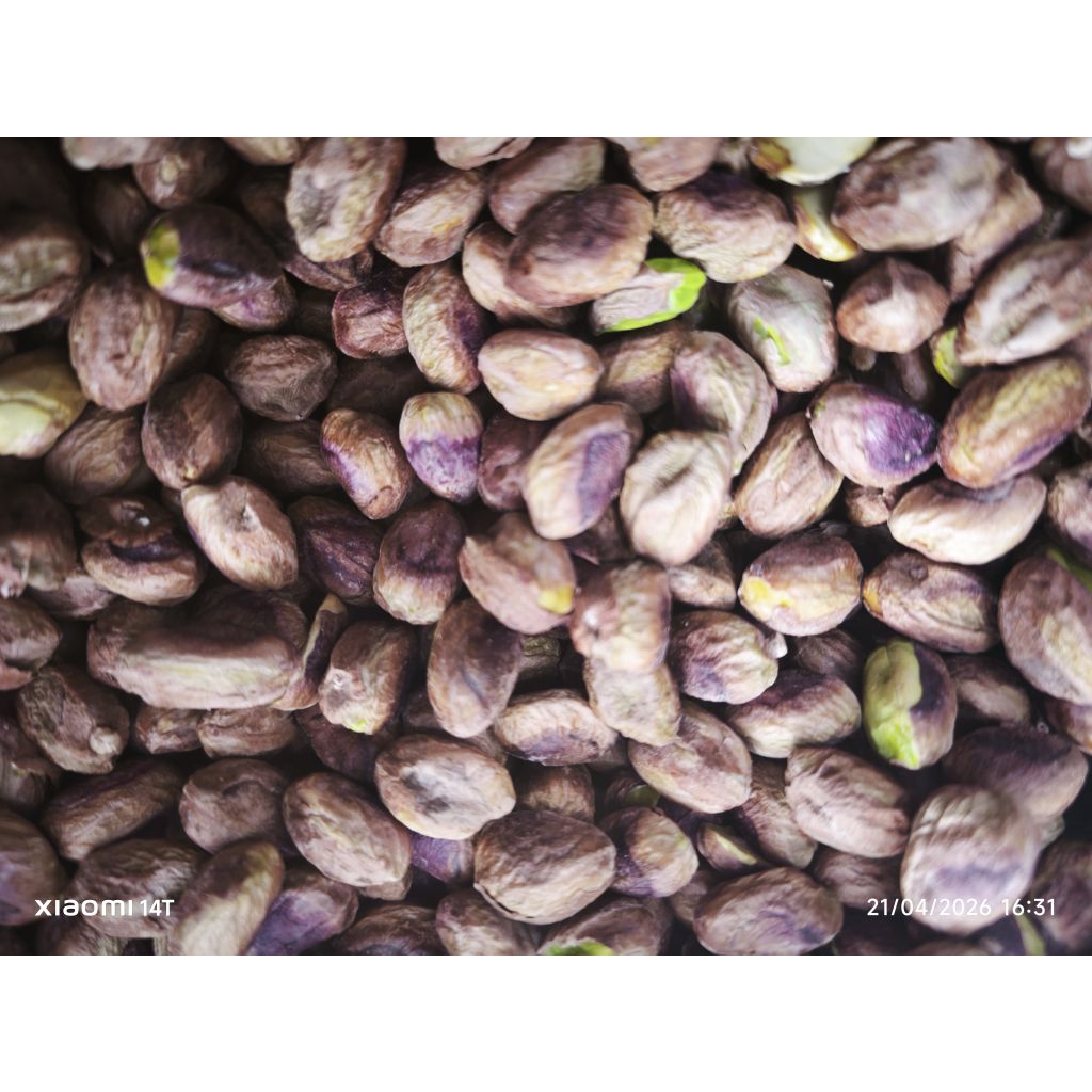 KACANG PISTACHIO KUPAS Panggang Asin ( Pistachio Roasted Salted)