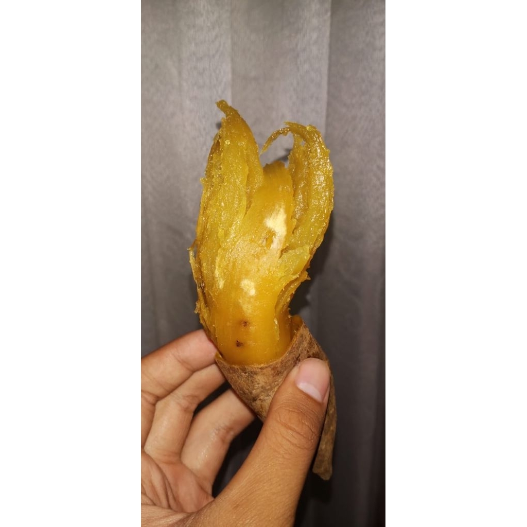 ubi madu Cilembu Mateng oven