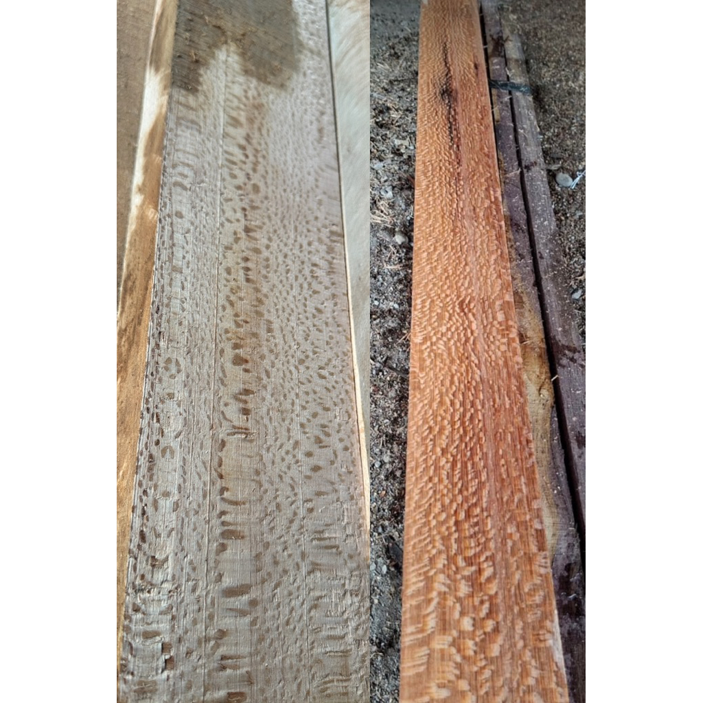 kayu leopard / sikamor / sycamore 5x5x50  kering oven bahan stik billiard, drum, popor, kerajinan, c
