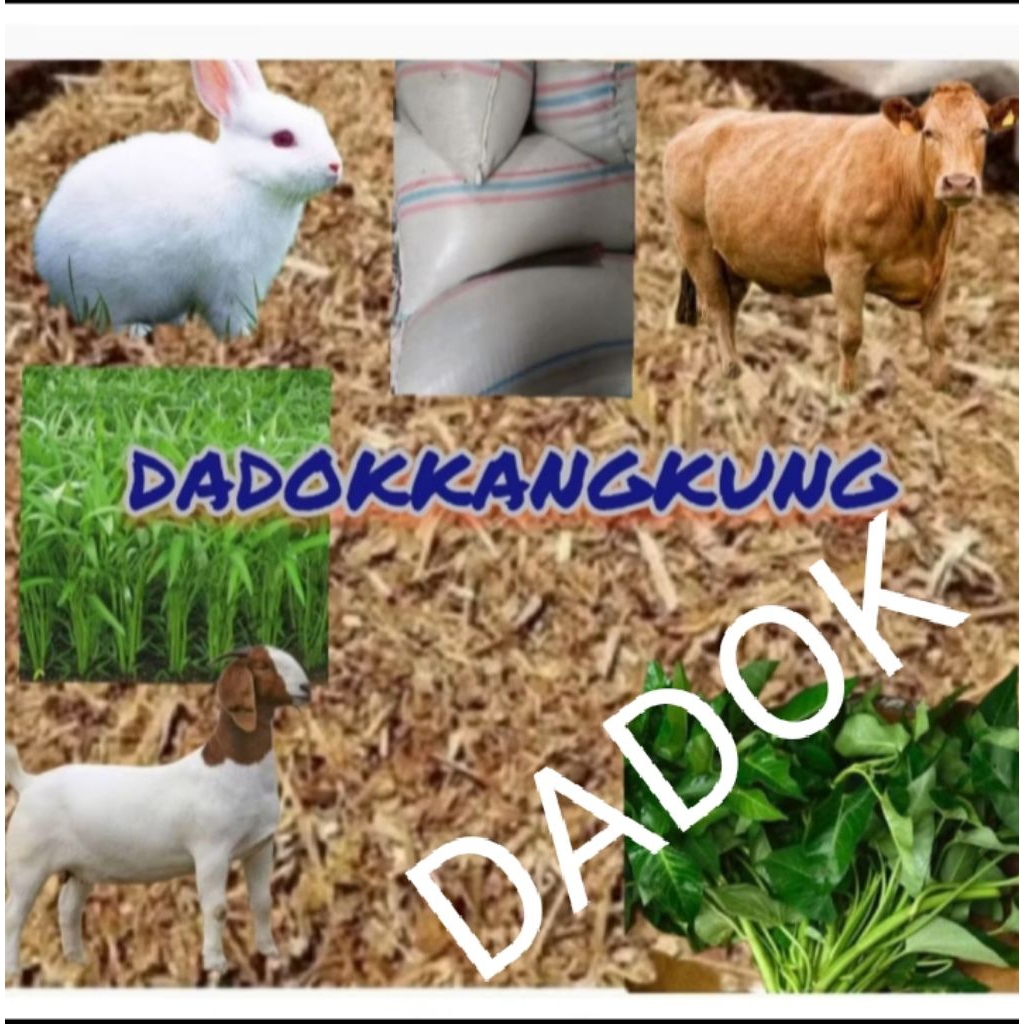 KANGKUNG. KERING/DADOK KANGKUNG 25kg 1 SAK