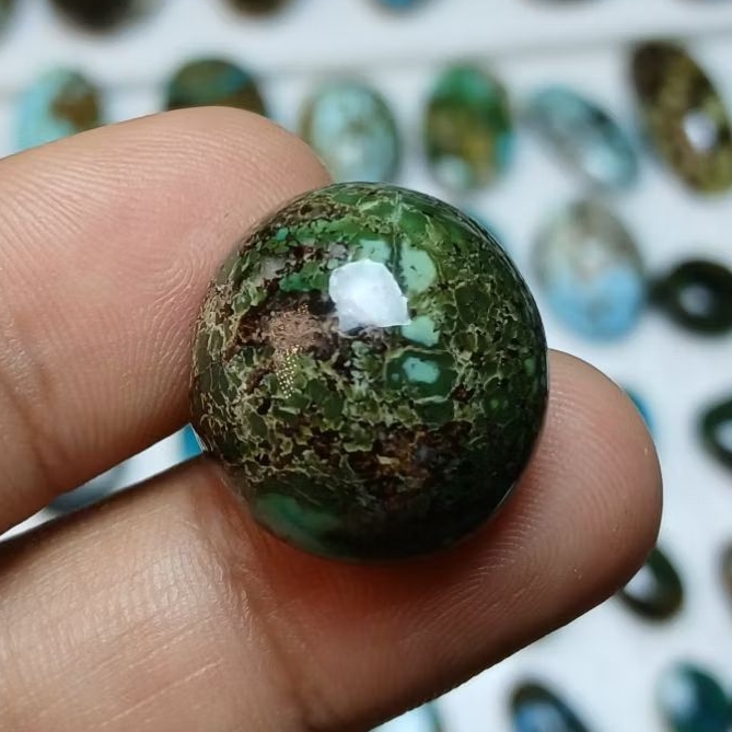 pirus ijo dongdong