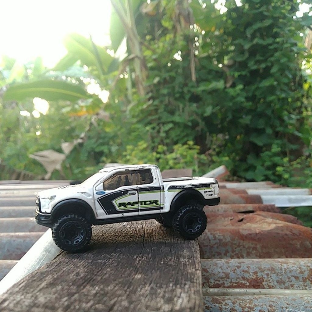 17 Ford F-150 Raptor