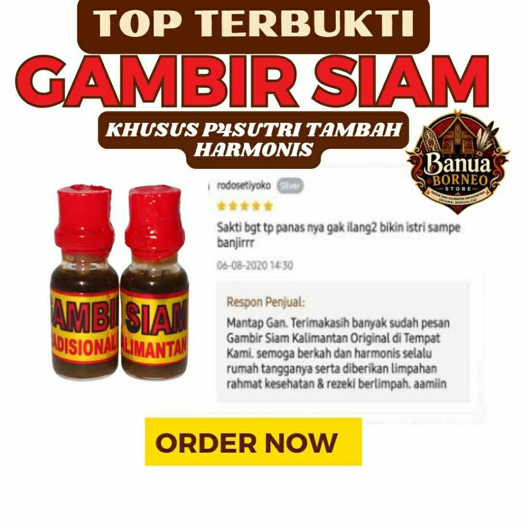 Gambir Serawak Siam Kalimantan Borneo Asli Original Herbal tradisional