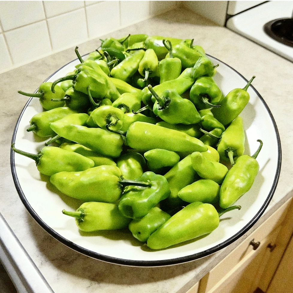 CABE HIJAU PONTIANAK /cabe besar hijau / cabe Pontianak 100gr dan 500gr /cabe hijau / cabe paprika /