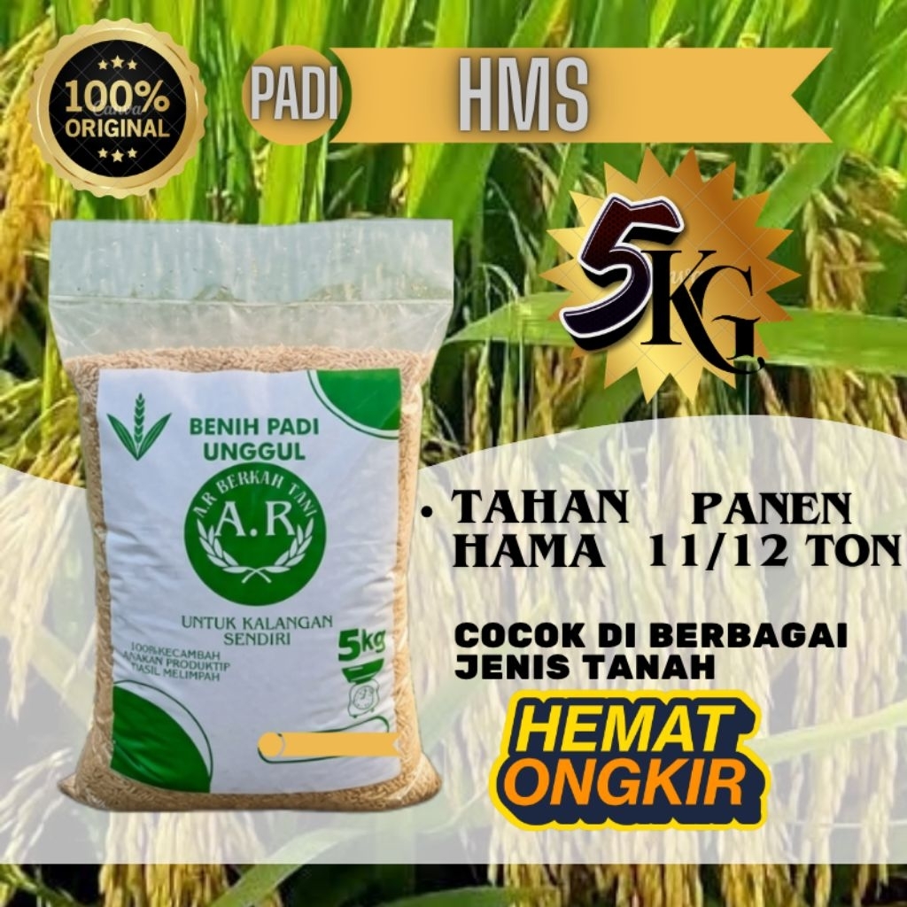 HMS 700 ) BIBIT PADI UNGGUL BENIH PADI BERKUALITAS PREMIUM KEMASAN 5KG