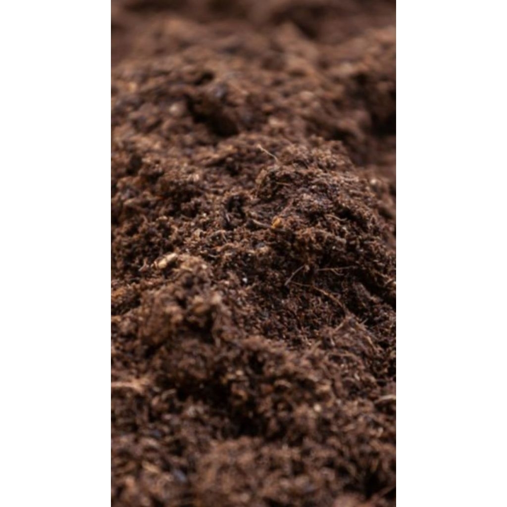 bakhoor dupa gaharu melancancise 1000gr  kiloan