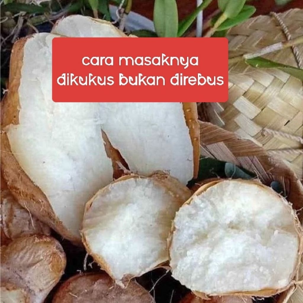 ubi gembili ketan fres segar 1000 gram