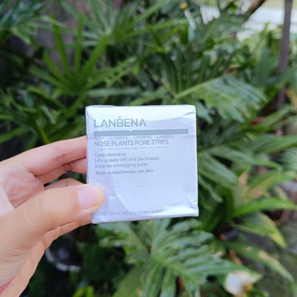 Lanbena pengangkat komedo hidung