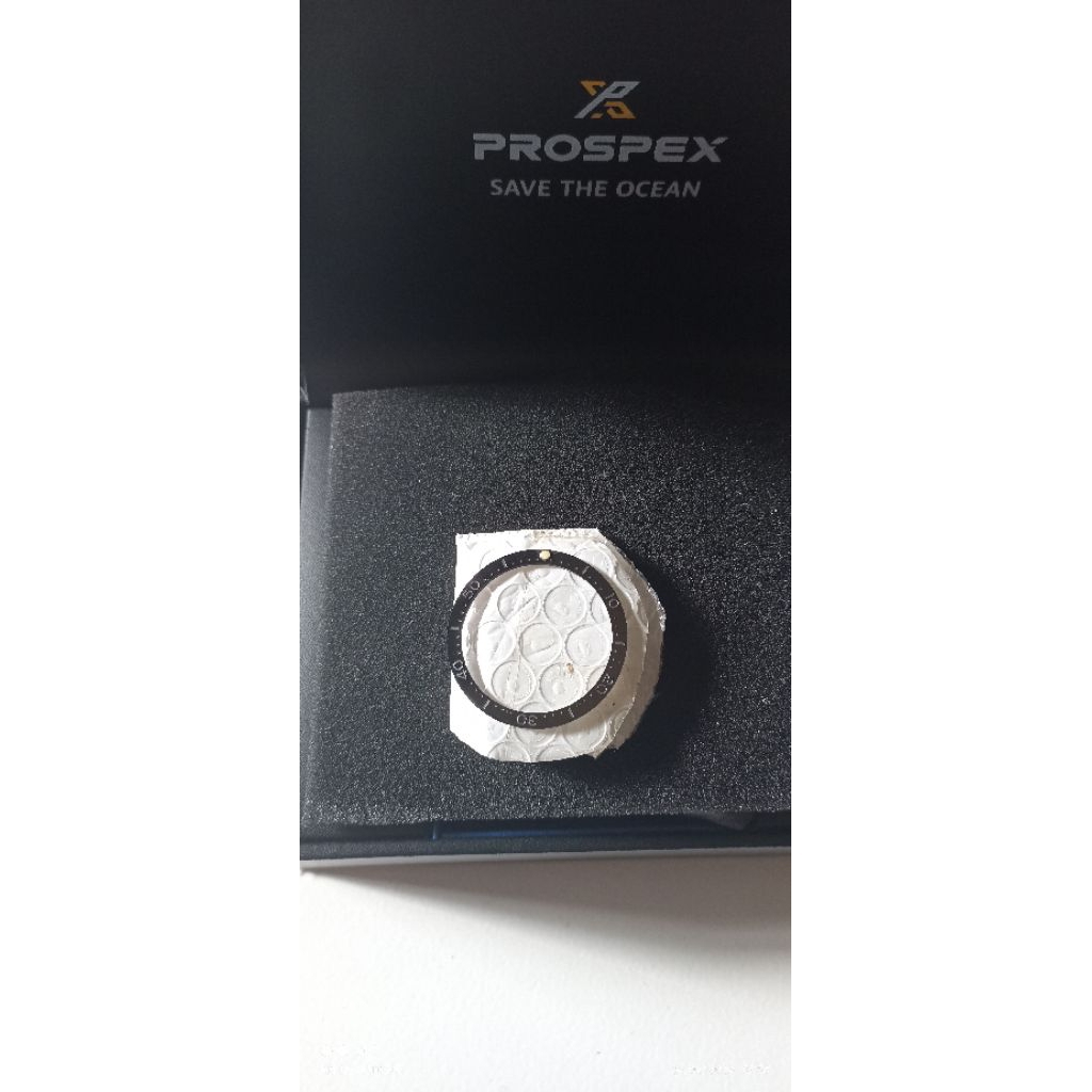 DLW BEZEL INSERT