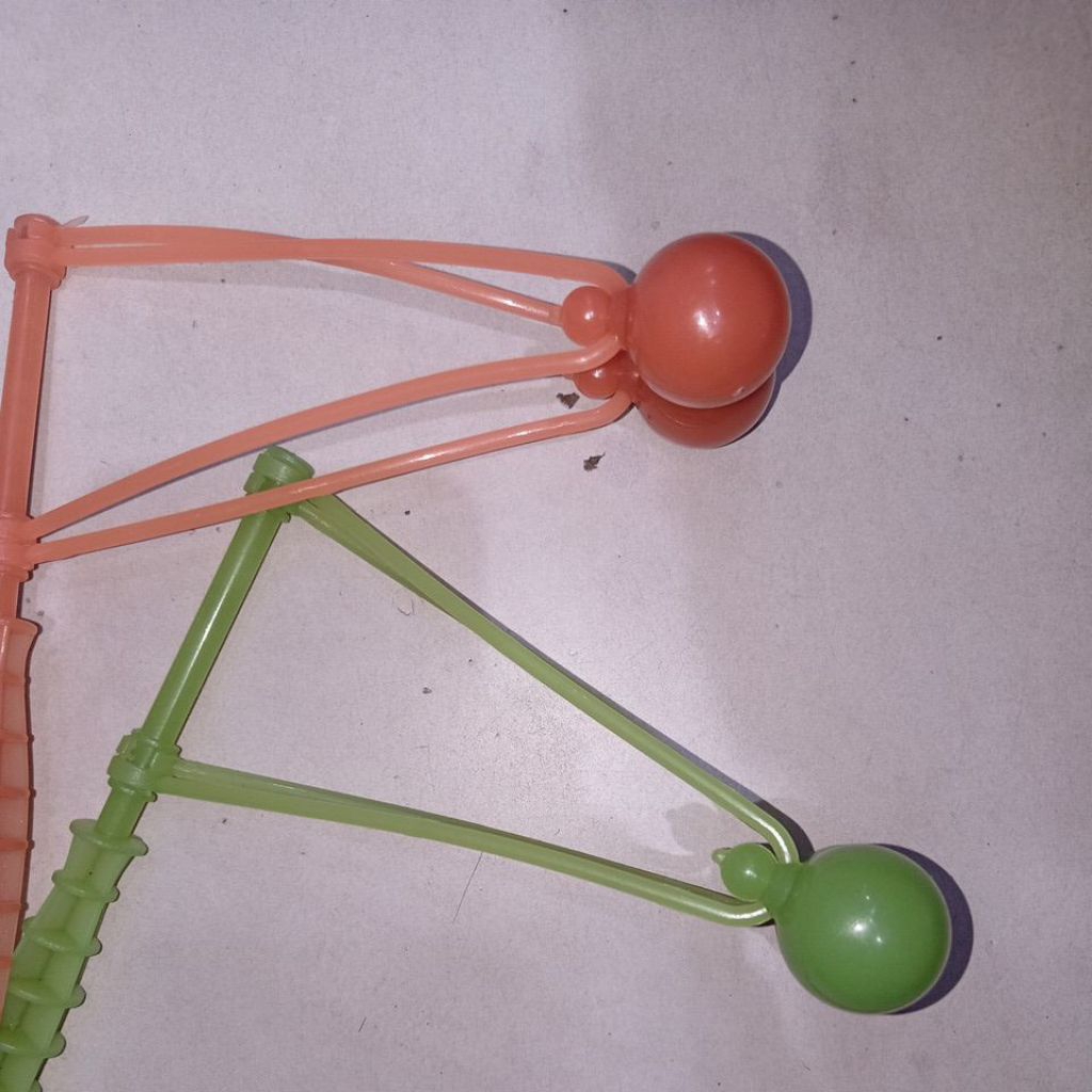 Lato-Lato Gagang Besar