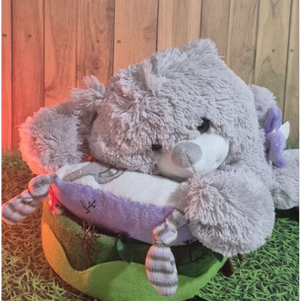 Boneka Teddy Pegang Bantal 55k