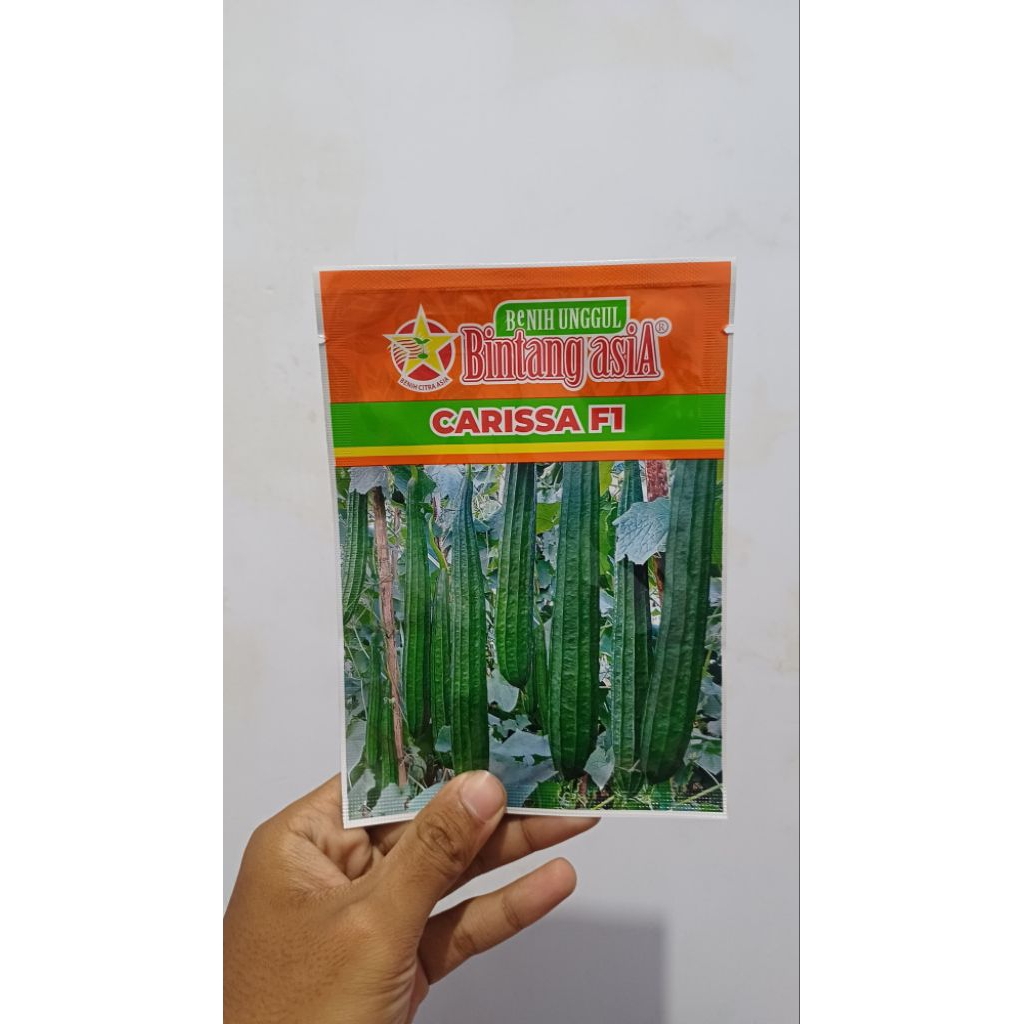 CARISSA BENIH GAMBAS/OYONG - 10GR