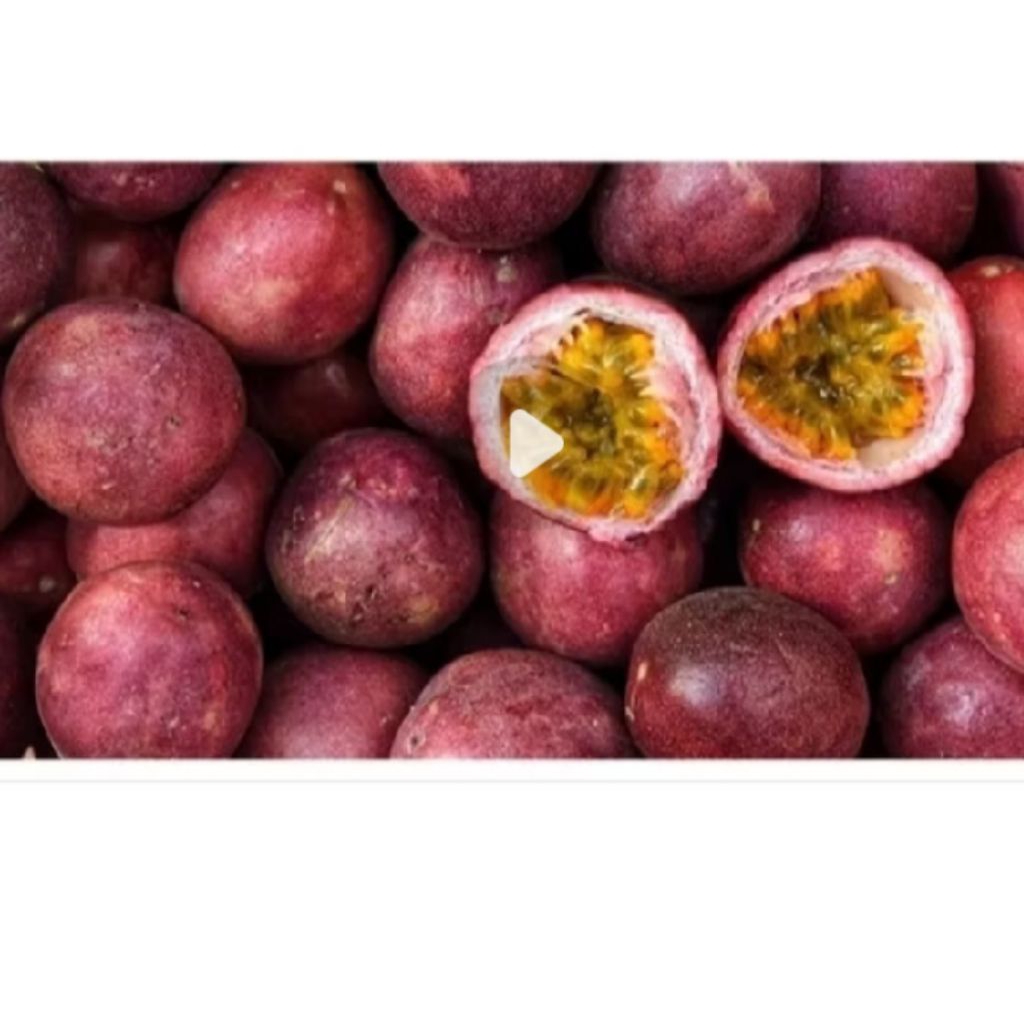 BUAH MARKISA/ MARQISA BERASTAGI 1KG