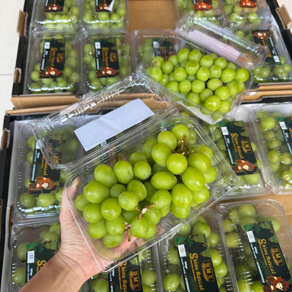 Anggur Muscat (500 GRAM)