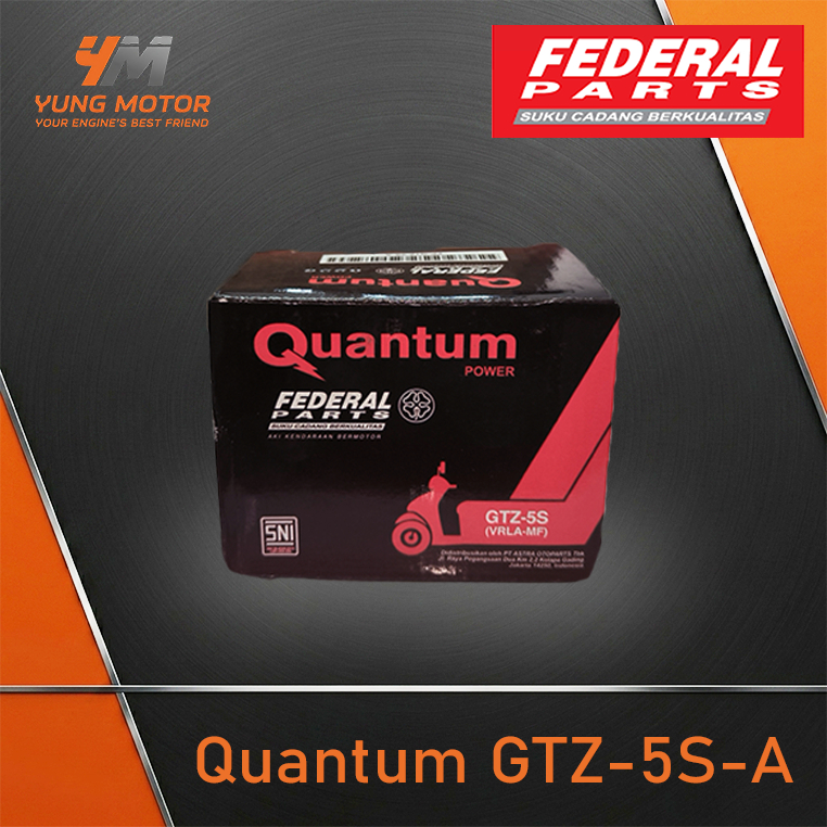 Aki Federal Quantum GTZ-5S-A