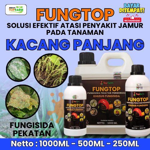 Obat Jamur Tanaman Kacang Panjang / Obat Jamur Topfarm / Obat Penyakit Kacang Panjang / Obat Bercak 