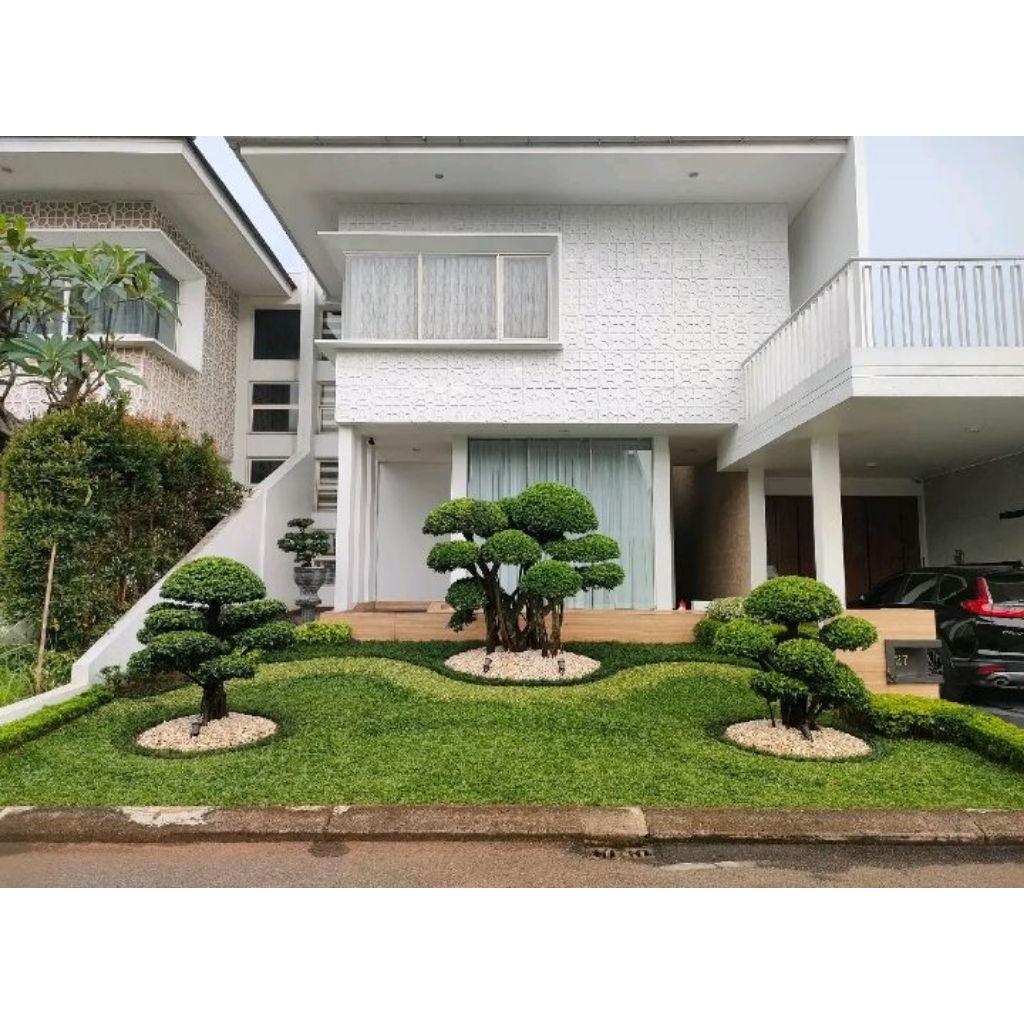 pembuatan taman Jepang kombinasi/bonsai elegan/bonsai mikro/batu coral/rumput gajah mini/dll