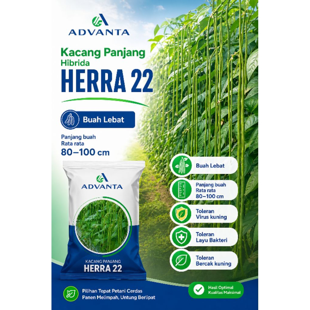 ADVANTA Kacang Panjang Herra 22 F1 Kemasan 500 gr