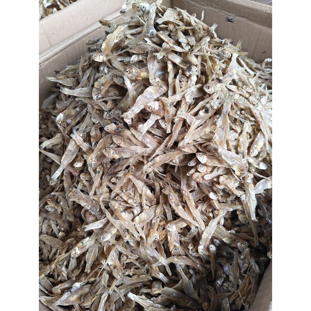 ikan asin teri tawar/teri tawar fresh 1 kg,1/2kg,250g,1ons